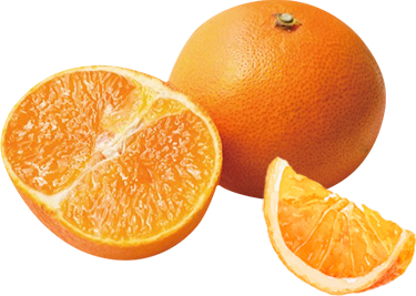 /image/design02_img5.png