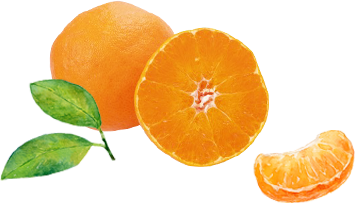 /image/design02_img6.png