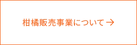 柑橘販売事業について